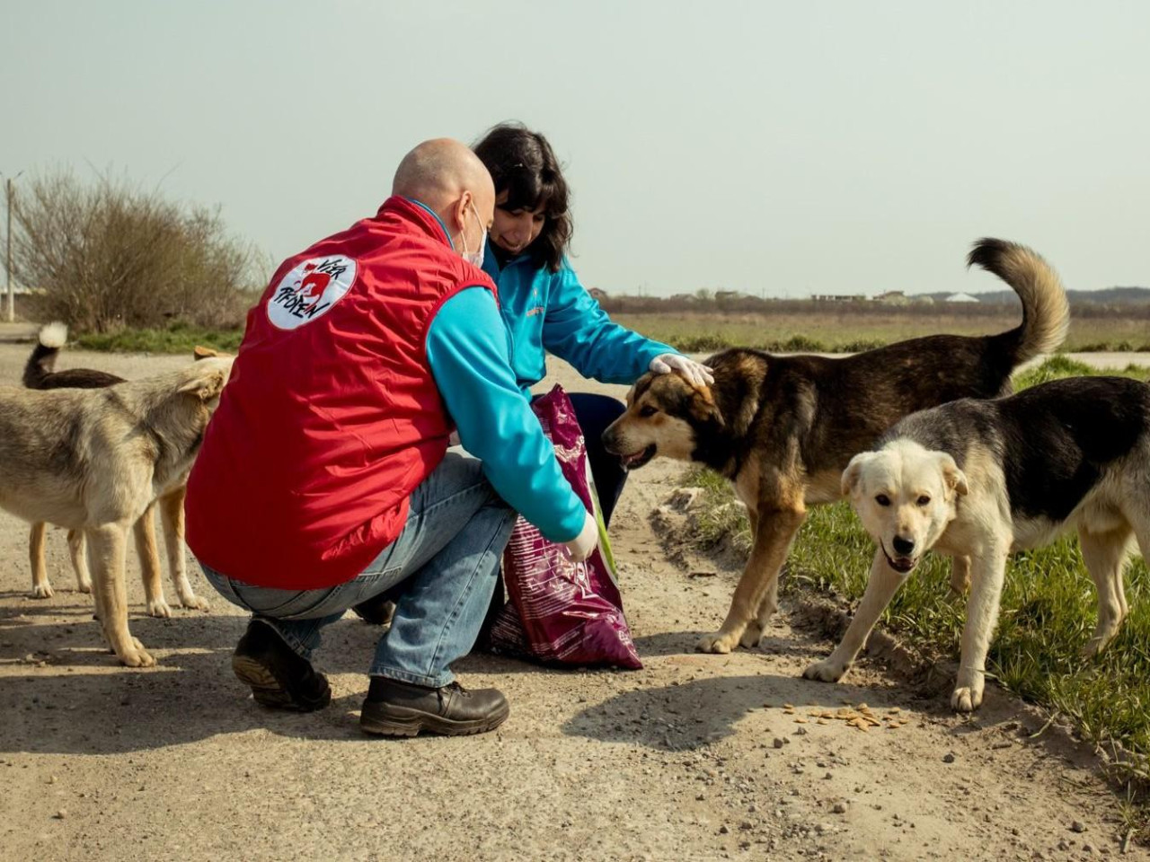 Street Animals Care & Shelter